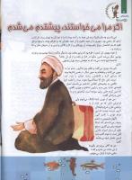 مجله کودک 79 صفحه 8