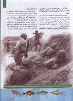 مجله کودک 79 صفحه 13