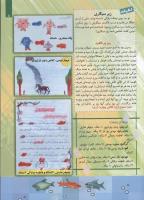 مجله کودک 79 صفحه 5