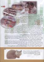 مجله کودک 162 صفحه 13