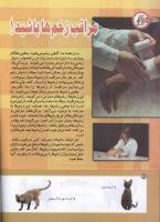 مجله کودک 162 صفحه 36