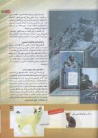 مجله کودک 162 صفحه 39