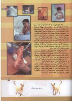 مجله کودک 162 صفحه 37