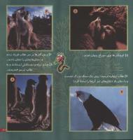 مجله خردسال 56 صفحه 21