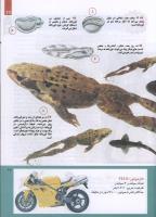 مجله کودک 213 صفحه 17