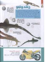 مجله کودک 213 صفحه 16