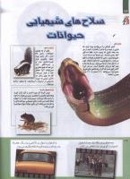 مجله کودک 215 صفحه 16