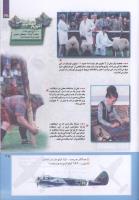 مجله کودک 221 صفحه 35