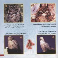 مجله خردسال 57 صفحه 21