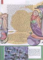 مجله کودک 227 صفحه 9
