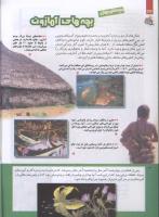 مجله کودک 227 صفحه 34