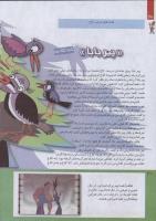 مجله کودک 228 صفحه 30