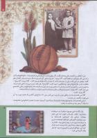 مجله کودک 228 صفحه 5