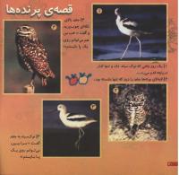 مجله خردسال 58 صفحه 20