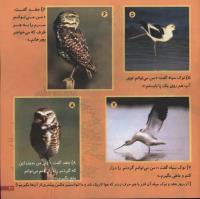 مجله خردسال 58 صفحه 21