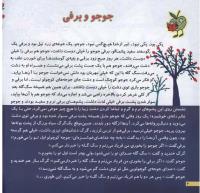 مجله خردسال 58 صفحه 4