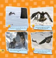 مجله کودک 443 صفحه 23