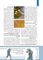 مجله کودک 483 صفحه 12