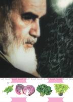 مجله کودک 492 صفحه 43