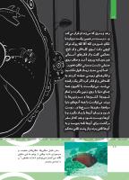 مجله کودک 500 صفحه 18