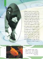 مجله کودک 500 صفحه 5