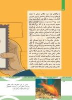 مجله کودک 500 صفحه 34