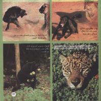 مجله خردسال 02 صفحه 23