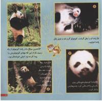 مجله خردسال 60 صفحه 21