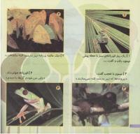 مجله خردسال 209 صفحه 20