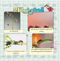 مجله خردسال 340 صفحه 20