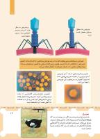 مجله خردسال 443 صفحه 19