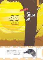 مجله خردسال 443 صفحه 26