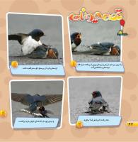 مجله خردسال 451 صفحه 22