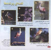 مجله خردسال 61 صفحه 20