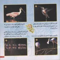 مجله خردسال 61 صفحه 21