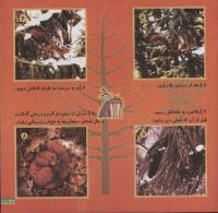 مجله خردسال 63 صفحه 21