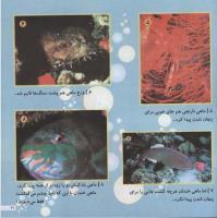 مجله خردسال 67 صفحه 21