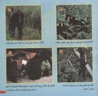 مجله خردسال 68 صفحه 21