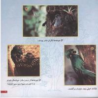 مجله خردسال 69 صفحه 21