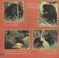 مجله خردسال 70 صفحه 21