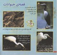 مجله خردسال 74 صفحه 20