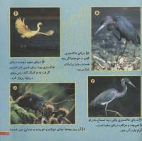 مجله خردسال 74 صفحه 21