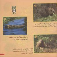 مجله خردسال 77 صفحه 21
