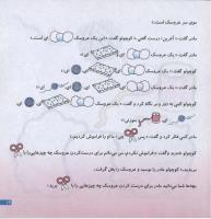 مجله خردسال 78 صفحه 19