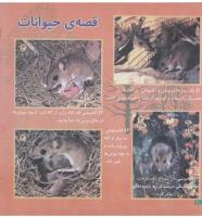مجله خردسال 78 صفحه 20