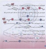 مجله خردسال 78 صفحه 18