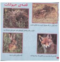 مجله خردسال 79 صفحه 20