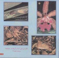 مجله خردسال 80 صفحه 21
