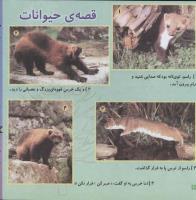 مجله خردسال 82 صفحه 20