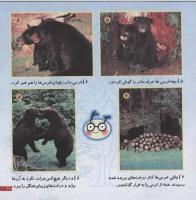 مجله خردسال 83 صفحه 21